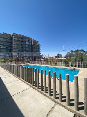 Dosam propiedades Anuncios gratis en Arica |  Se arrienda hermoso depto en edificio brisas azapa arica, Departamento con 3 dormitorios y 3 banos