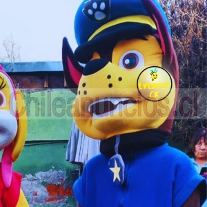 Eventos ck Anuncios gratis en Estaci&oacute;n Central |  Chase al rescate de los paw patrol, Paw patrol