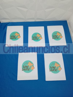 Alan Anuncios gratis en Santiago |  Talonarios personalizados autocopiativos  y recetarios , Talonarios