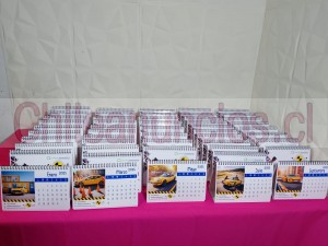 Alan Anuncios gratis en Santiago |  Calendarios de escritorios anillados y otros tipo carpa mini calendario, Calendarios