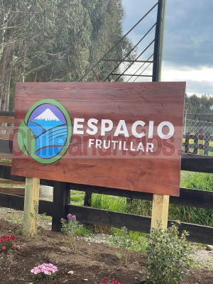 Romina Anuncios gratis en Frutillar |  Se venden hermosas parcelas en frutillar 5000 mts2, Parcelas ubicadas en el sur de chile ideal para construir su casa