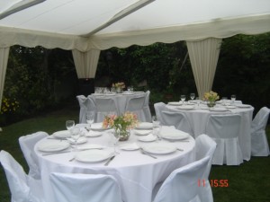  Anuncios gratis en Santiago |  BANQUETERIA    PARA  MATRIMONIOS  FIESTAS  ETC  , MATRIMONIOS,  FIESTAS  Y  EVENTOS  FONO  2681366