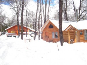 Carlos Quintela Anuncios gratis en  Venta de Negocio destinado arriendo de Caba&ntilde;as en Valle Las Trancas , Caba&ntilde;as Aguanieve a 15 minutos de Las Termas Minerales de Chillan