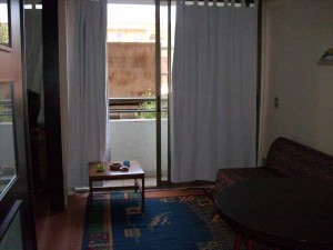 ROSA RIQUELME M. Anuncios gratis en Santiago |  ARRIENDO DEPARTAMENTOS AMOBLADOS.(dia/s,semanas)SANTIAGO CENTRO, METRO UNIVERSIDAD CATOLICA