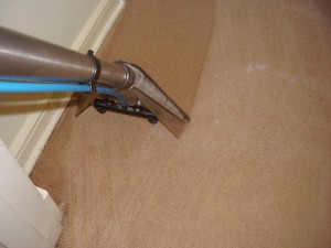 **XPRESS** Anuncios gratis en Vi&ntilde;a del Mar |  LIMPIEZA DE ALFOMBRAS, CASAS..DEPARTAMENTOS Y OFICINAS